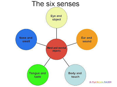 the-six-senses-2